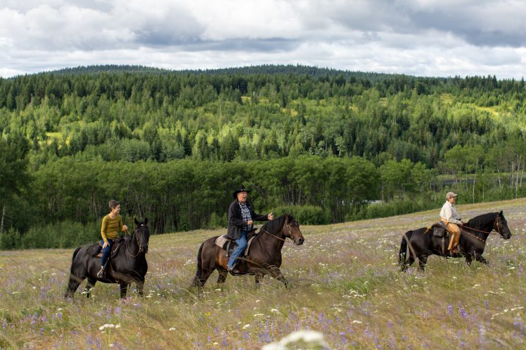 Horse Riding