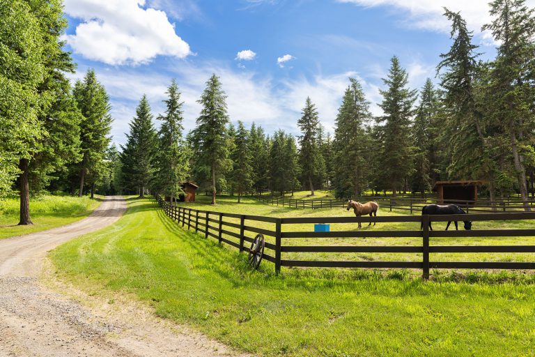 Horse Paddocks