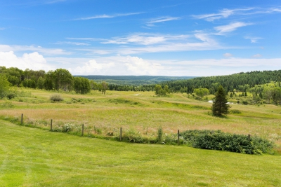 Rolling Hills of Four Hearts Ranch